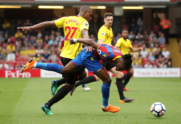 新归化球员 新归化球员